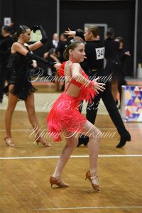 DSC_2208.JPG