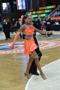 DSC_2313.JPG