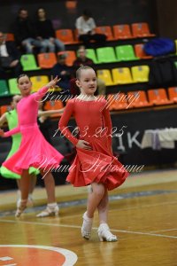 DSC_9298.JPG