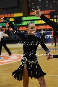 DSC_4854.JPG