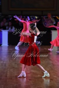 DSC_7880.JPG
