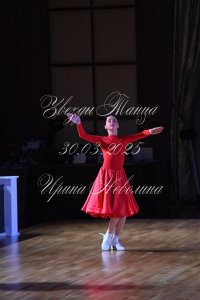 DSC_7863.JPG