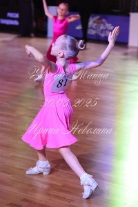 DSC_8330.JPG