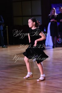 DSC_8631.JPG