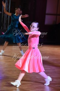 DSC_8284.JPG