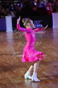 DSC_7954.JPG