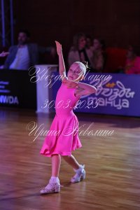 DSC_7926.JPG