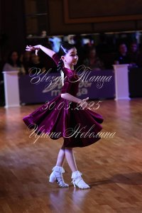 DSC_8426.JPG