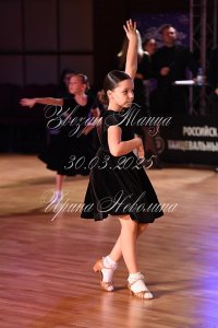 DSC_8637.JPG