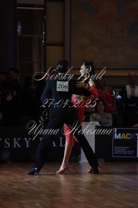 DSC_9154.JPG