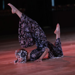 06.09.2025 15:19 Chor.Dance Show All WADF styles