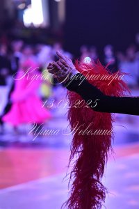 DSC_9860.JPG