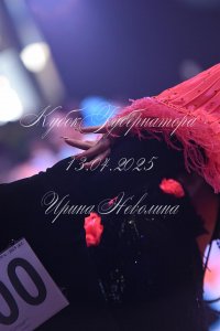 DSC_9717.JPG