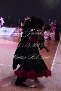DSC_9523.JPG