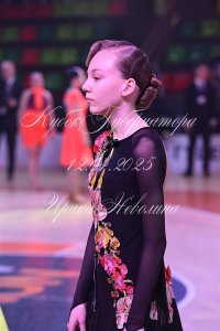 DSC_8540.JPG