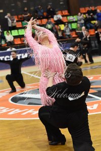 DSC_7028.JPG