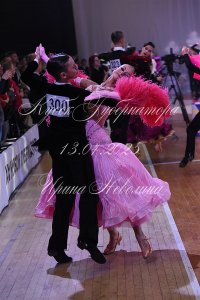 DSC_8516.JPG