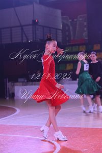 DSC_0798.JPG