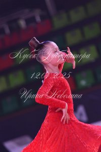 DSC_1243.JPG