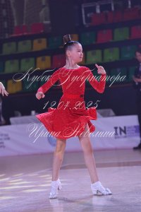 DSC_0782.JPG