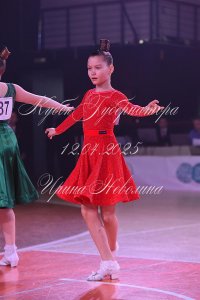 DSC_0805.JPG