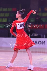 DSC_1247.JPG