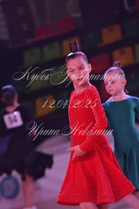 DSC_1260.JPG