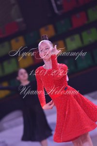 DSC_1229.JPG