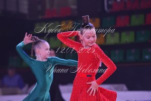 DSC_1231.JPG