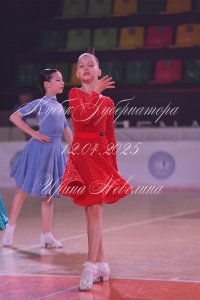 DSC_0811.JPG