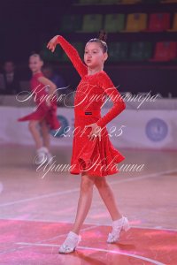 DSC_0824.JPG
