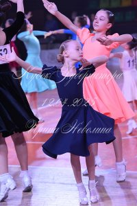 DSC_9508.JPG