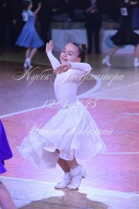 DSC_9808.JPG