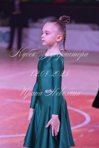DSC_9539.JPG