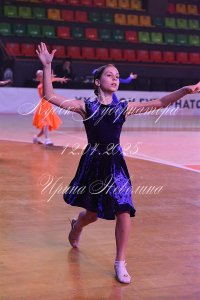 DSC_9935.JPG