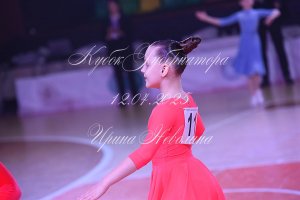 DSC_9593.JPG