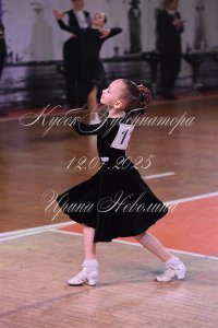 DSC_9811.JPG