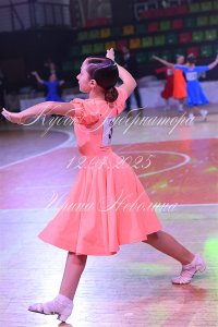 DSC_9763.JPG