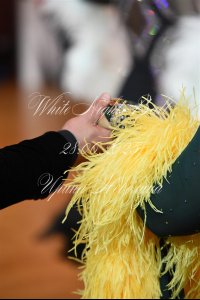 DSC_5821.JPG