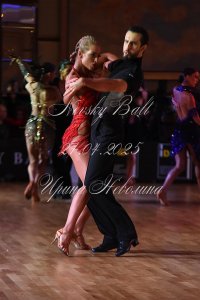 DSC_6337.JPG