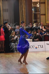 DSC_6508.JPG