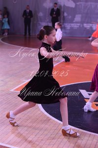 DSC_6113.JPG