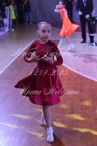 DSC_8221.JPG