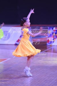DSC_6533.JPG