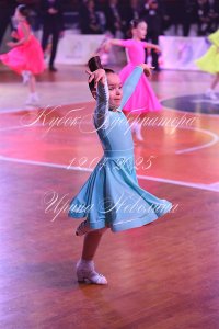 DSC_6529.JPG