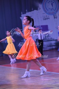 DSC_6653.JPG