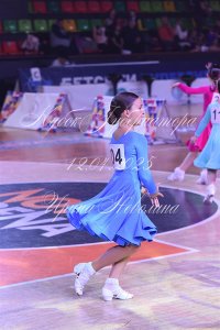 DSC_7978.JPG