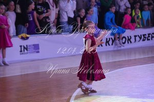 DSC_6178.JPG