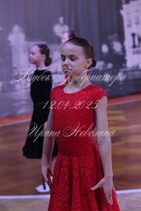 DSC_8938.JPG