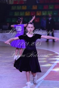 DSC_8946.JPG
